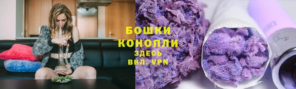 индика Козловка